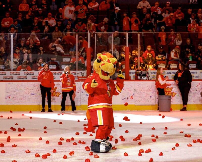 Discover Calgary’s growing sports scene: From pro teams to community ...